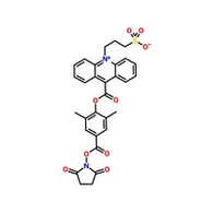 CAS:194357-64-7|NSP-DMAE-NHS Ester