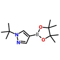 CAS-nr.1256359-15-5|1-tert-butyl-4-(4,4,5,5-tetrametyl-1,3,2-dioxaborolan-2-yl){{12 }}H-pyrazol